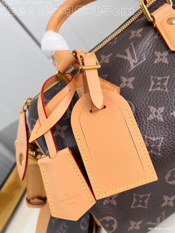 AAA Replica Ru Louis SPEEDY 25 Vuitton 0525
